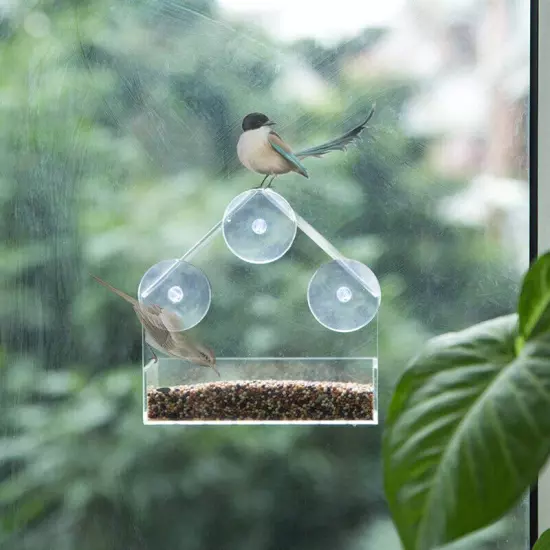 Clear Glass Window Hanging Bird Feeder House Table Seed Peanut Hotel Suction