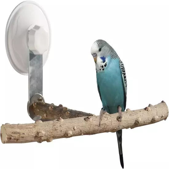 Bird Window Perch Stand with Suction Cup, Outdoor Travel Window Mirror Bird Stan