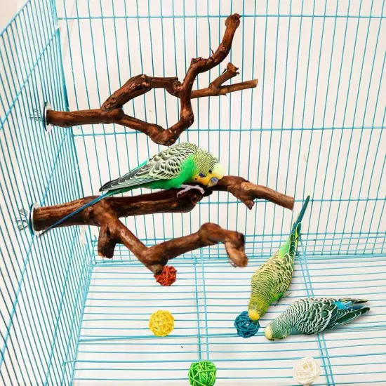 Pet Standing Stick Wild Grape Wood Pole Parrot Parakeet Station Bite Claw Toy