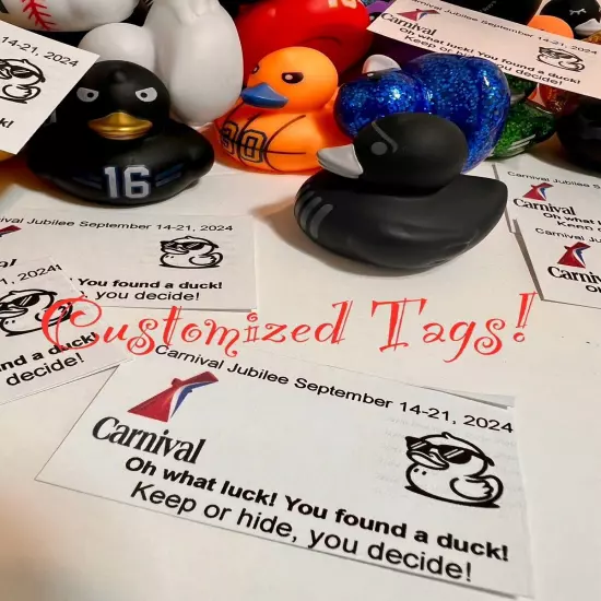 72 Pcs Cruise Ducks Tag Kits, Includes 24 Rubber Ducks for Cruise Ships 24 Ducks