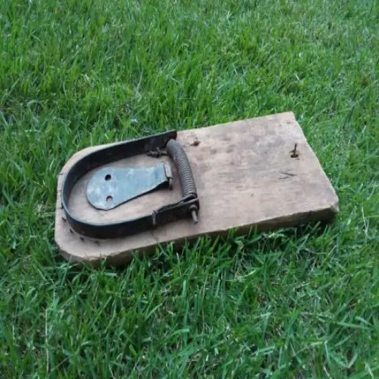 Antique Rat Trap WORKS! Primitive 1800's ??? Mousetrap