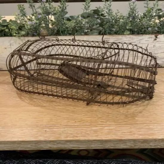 ANTIQUE EARLY PRIMITIVE HAND-WIRED MOUSE RAT RODENT PEST CATCH ALIVE TRAP BASKET