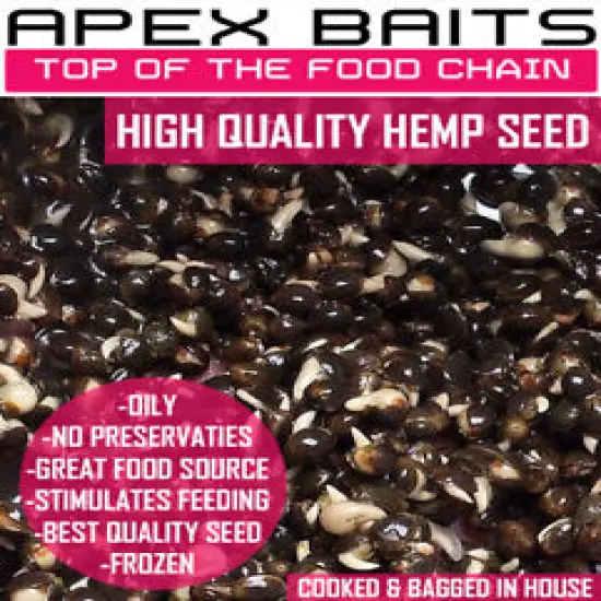 Cooked Hemp Seed Carp Fishing Particle, Spod & Bait Boat Mix 3 5 10 15 20 Kilos 