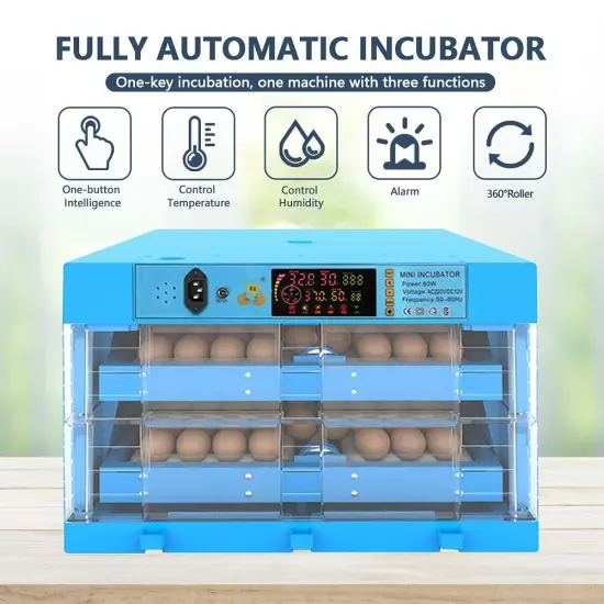 Auto Egg Incubator with Automatic Egg Turning and Humidity & Temperature Control