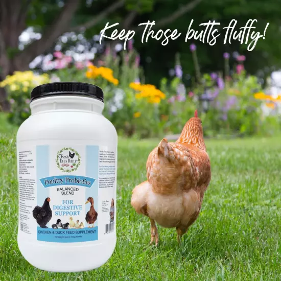 Poultry Probiotics Feed Supplement Vitamins for Backyard Chickens and Ducks 6LB