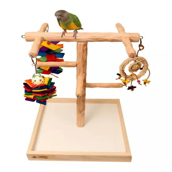 Deluxe Tabletop Parrot Climbing Tree - Tabletop Tree for Small to Medium Parrots