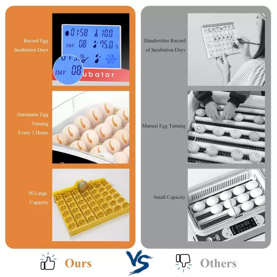 Incubadora de hasta 55 huevos con giro automático, incubadora universal VIP