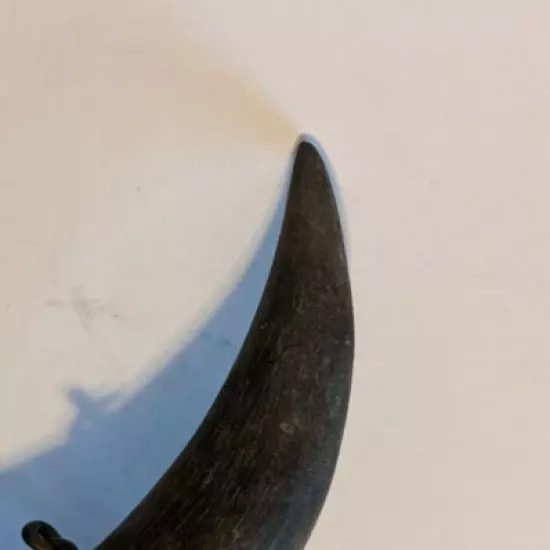 Antique Decorative Horn