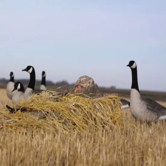 Avery Greenhead Gear Golden Harvest Killer Weed Duck Goose Blind Kit Killerweed 