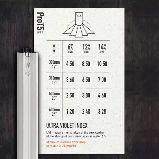 Pro T5 UVB D3+ Forest 6%UV-B 24 Inch Single Lamp Kit