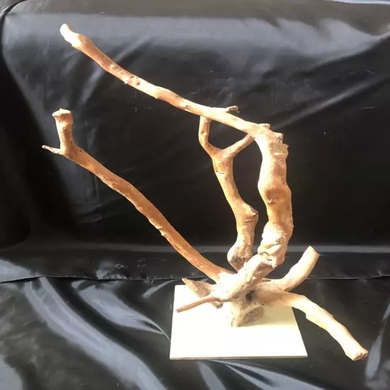 Large Driftwood for Aquarium/Terrarium/taxidermy XL 18”