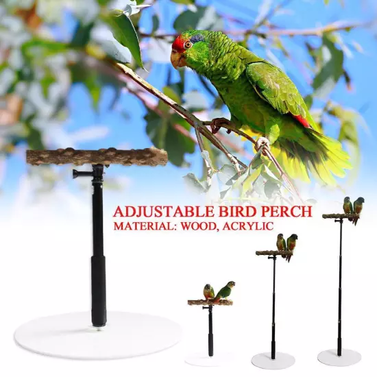 Stable Bird Parrot Training Exercise Adjustable Playstand Cage DD