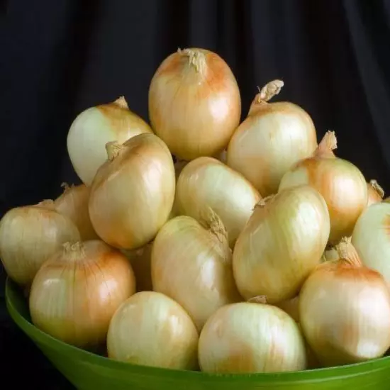 Hey! 8 Lb. Box SWEET VIDALIA PREMIUM ONIONS free priority ship to your door