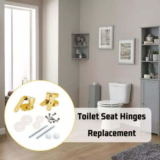 Durable Gold Toilet Hinges with Secure & Adjustable Fittings - Long-l D1P2