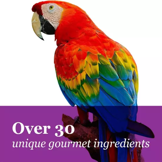 F.M. Brown's Tropical Carnival Gourmet Large Hookbill Food for Parrots, Cockatoo