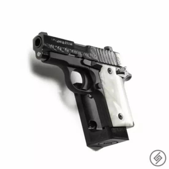 Fits Sig P238 Wall Mount (L) - Gun Rack - Pistol Display - Spartan Mount™