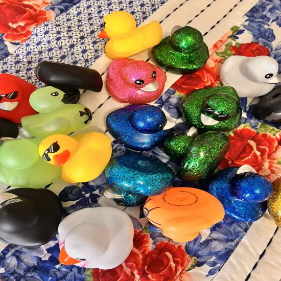 72 Pcs Cruise Ducks Tag Kits, Includes 24 Rubber Ducks for Cruise Ships 24 Ducks