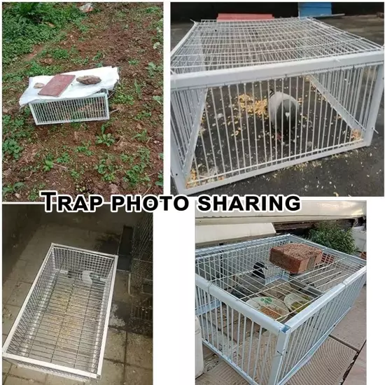 Pigeon Loft Door Pigeon Entrance Door Trap Door Pigeon House Door Racing Supplie