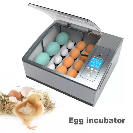 16 Chicken Egg Incubator Fit Hatching Eggs with Automatic Turner Temp Control US