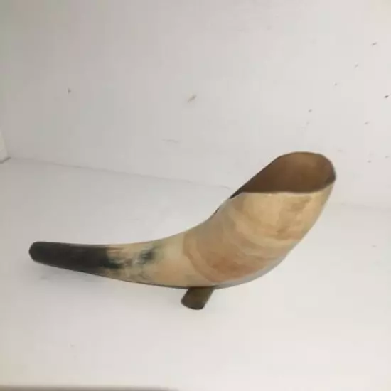 Vintage Old Cow Bull Horn 8 inches With Stand