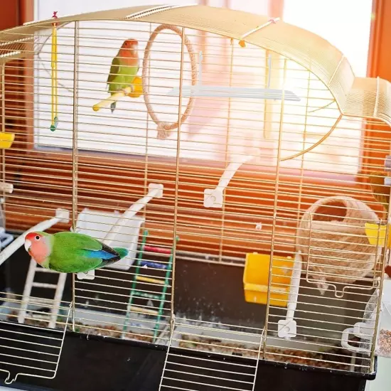 balacoo 4 pcs Toys Stand Wire Conure A Cage Accessories Training Pen Househol...