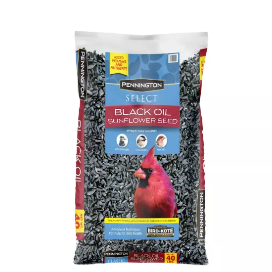 Pennington Select Black Oil Sunflower Seed Dry Wild Bird Feed, 40 lb. Bag, 1 Pac