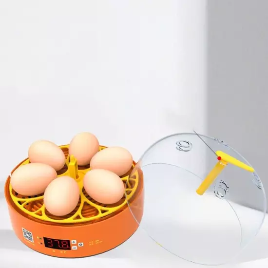 Mini 6Mini 6 Chick Incubator Small Home Science and Education Cross-Border