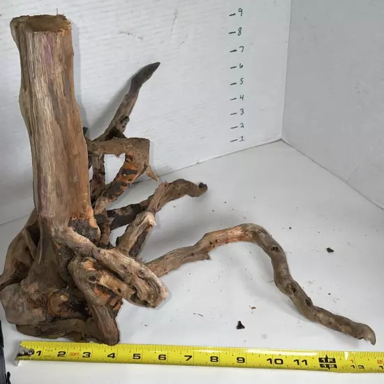 Driftwood Root Taxidermy Beach Lake Mountain Wedding Centerpiece Shower