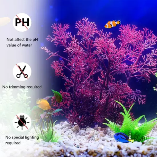 5PCS Beginner Aquarium Plants Bundle Pack 5 Plants tank easy Aquatic Decorations