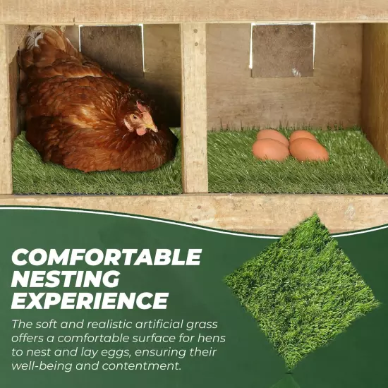 Chicken Nesting Pads (6 Pack) 12x12x1.57 inches (The THICKEST) - Nesting Box ...