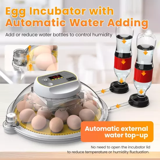 Incubators for Hatching Eggs, 18-60 Eggs Incubator with Automatic Egg Turning an