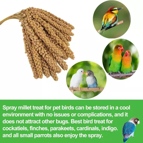 5Lbs Millet Spray for Birds, Sun Dried Spray Millet, Original Bird & Supplement