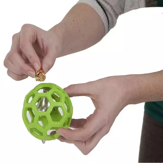 JW Pet Insight Pet Hol-ee Roller Natural Rubber Ball Parrots Forage Bird Toy Med