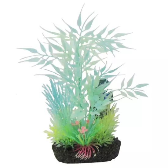 Bamboo Leaf Glow Plant, Small