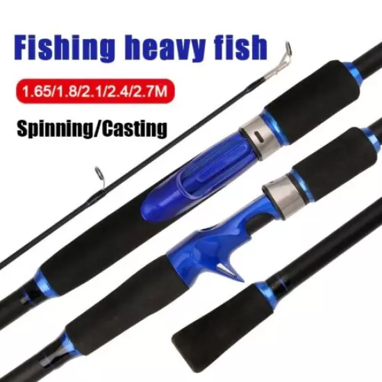 Ultralight Spinning Casting Fishing Rod Pole Lure Powerful Super Hard 2 Sections