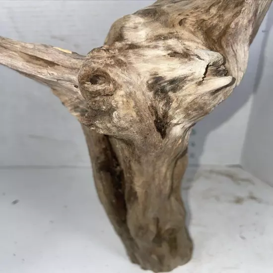 Driftwood Taxidermy Beach Lake Mountain House Wedding Reception