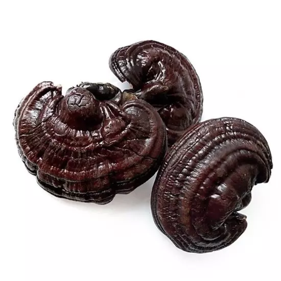 Reishi Soup Purple Black Ganoderma Lucidum Lingzhi Mushroom Herbs100g~500g