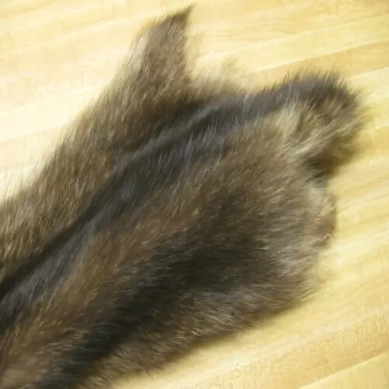 Tanned Raccoon Hide Craft Grade DAMAGED Fur Coats Trapping # 0002763 Row A-5