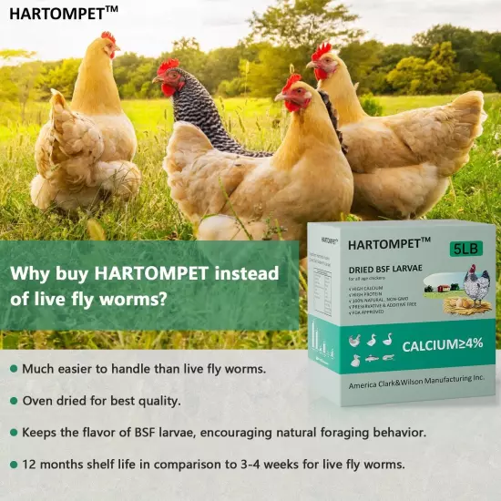 HARTOMPET Better Than Dried Mealworms for Chickens 5 lbs - 85X Calcium Than M...