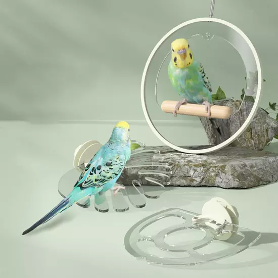 Cage Perch Birds Perch Lovebird Swing Climbing Budgies Decoration Bird Perches