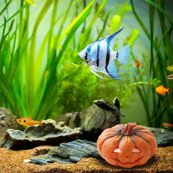 Halloween Mini Pumpkin Ornament Fish Tank Aquarium Habitat Resin Land