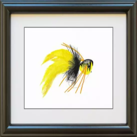 Yellow Hard Body Bass Popper Print, Bass Bug, fishermen, bass fishing, gift, 