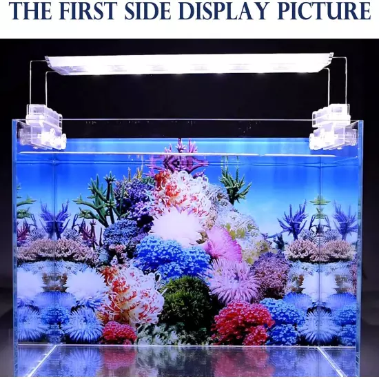 Fish Tank Stickers Wallpaper Seaweed Background Aquarium Background Decoration W