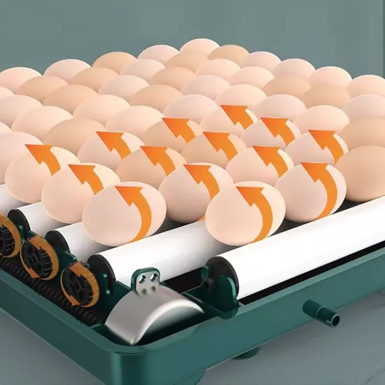 38 Eggs Double Electric Incubator Fully Automatic Chicken Duck Egg Hatcher