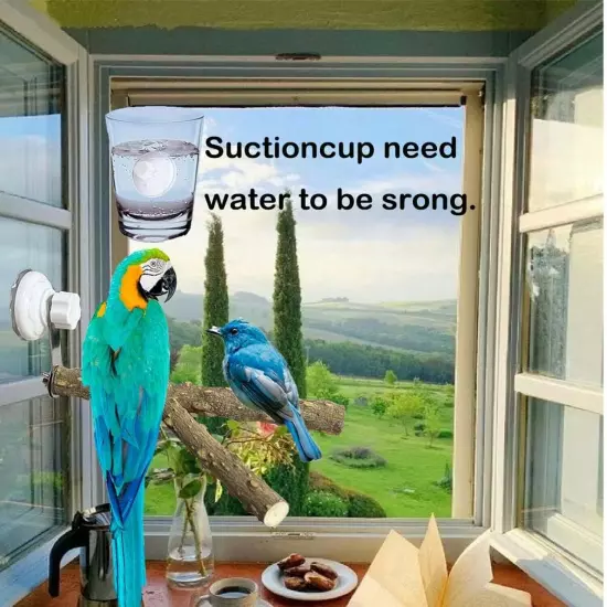 Natural Bird Perch Stand with Suction Cup for Window Mirror Car Shower Travel...