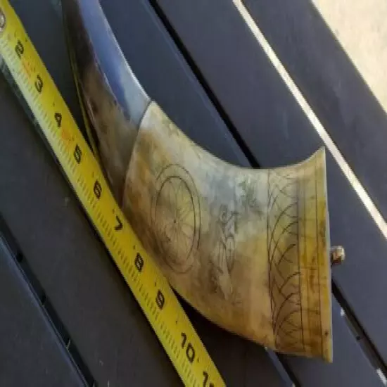 Hand Scrimshawed Cow Powder Horn 