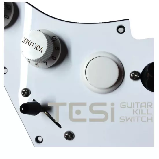 Tesi Switch DITO 24mm Arcade Button Guitar Kill Switch - 25 Colors Available!