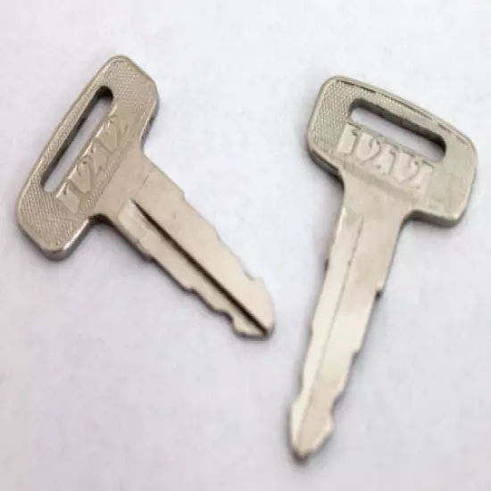 Yamaha G1, G2, G8, G9, G11 Golf Cart Key - Set Of 2 Common Keys Gas and Electric