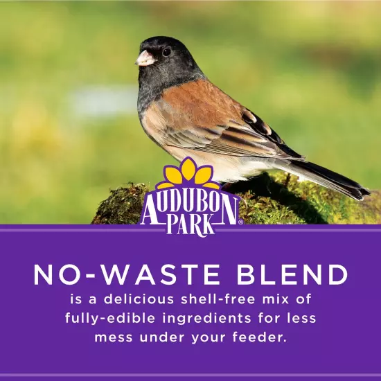 No Waste Blend Wild Bird Food Premium Shell Free and No Mess Bird Seed for O