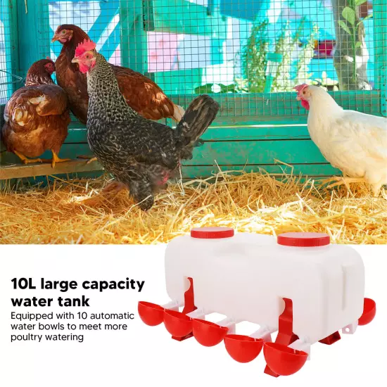 10L Chicken Waterer Semi Automatic Poultry Water Feeder Chicken Coop Accessories